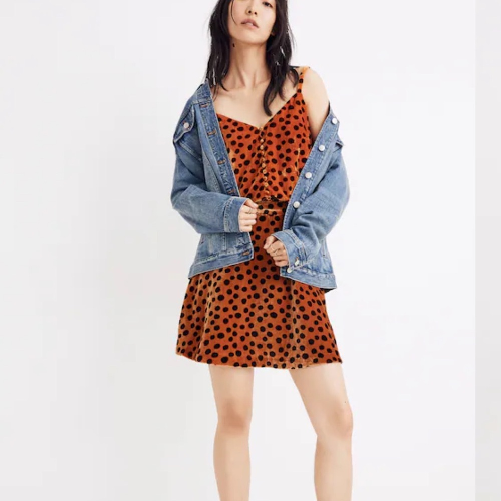Madewell Velvet Circle Mini Skirt in Leopard Dot 8